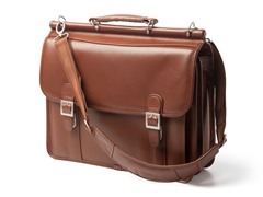 Halsted 15" Laptop Case