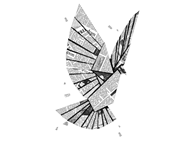 Fly, Paper