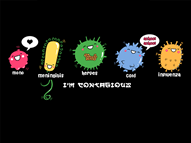 Viral Kawaii