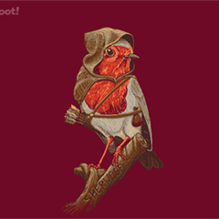Robin Hood Robin Hood