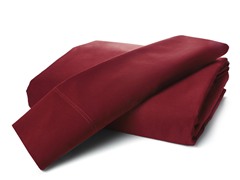 800TC Egyptian Cotton-Cabernet-2 Sizes