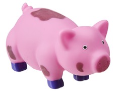 Piggy Pigs