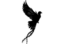 Freebird