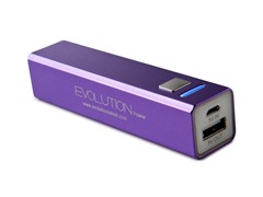 Rechargeable USB Charger - Purple