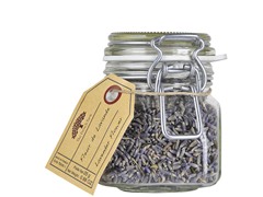French Farm Lavender Flowers