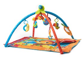 Infantino Music and Motion Gym