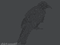 Nevermore