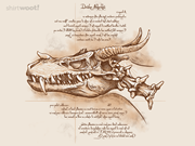 Study of a Drake Akhekhu