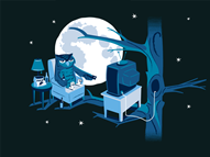 Night Owl