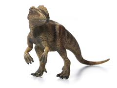 Allosaurus