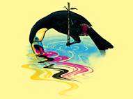 Toucan Sheds His Tint