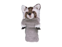 Raccoon