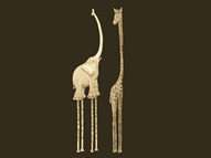 Height Envy