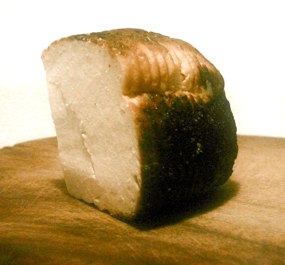 The Debunker: Do Mice Really Like Cheese? - Woot