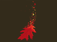 Fall