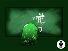 Cell Division Pullover Hoodie
