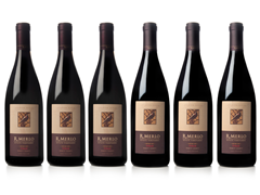 2005 / 2007 Estate Syrah Combo (6)