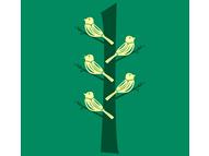 For The Birds