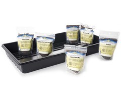 Microgreens Kit