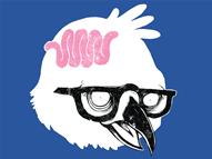 Bird Brain
