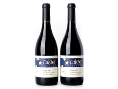 Anderson Valley Pinot Noir (2)