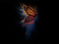 Vivacious Viceroy