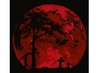 Late Halloween Night