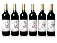 Barbera Mini-Vertical (6)