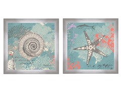 Starfish and Shell Set