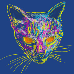 candy cat candy cat