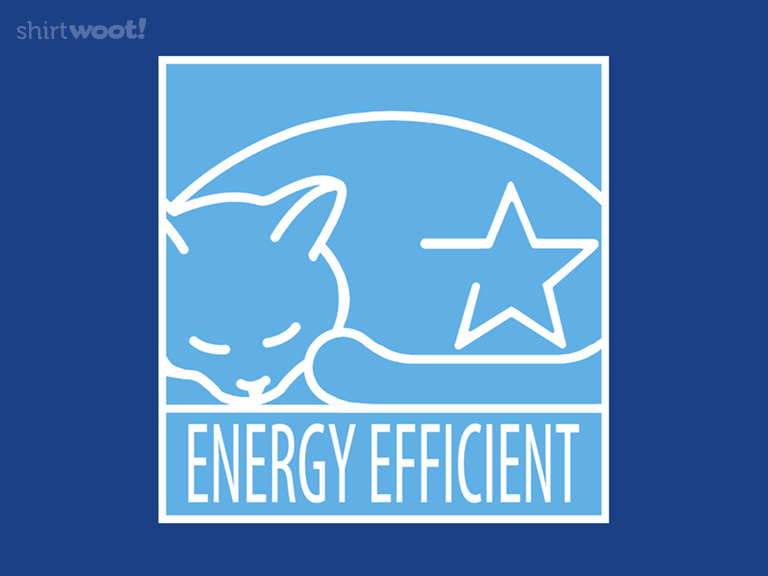 Energy Efficient