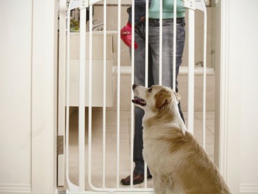 Home Pet Accessories