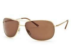 Gold/Brown Aviator 22 Sunglasses