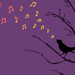 Colorful Melodies Colorful Melodies