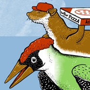 Woodpecker and Weasel pizza delivery Woodpecker and Weasel pizza delivery