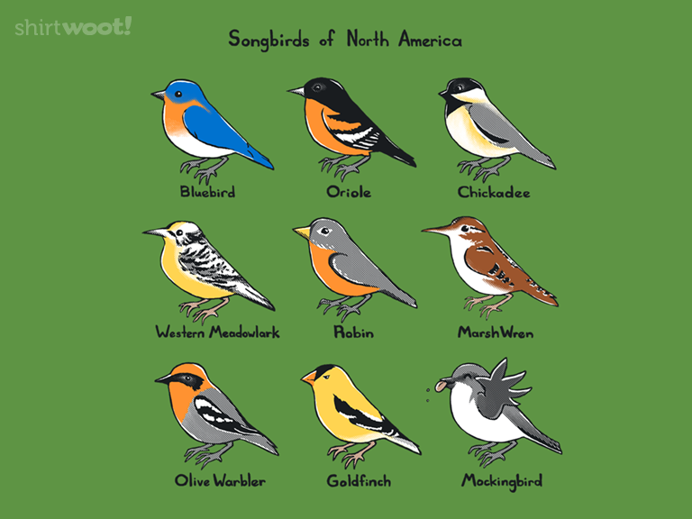 Songbirds of North America
