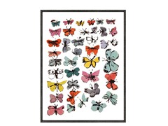 Butterflies, 1955