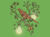 Tree of Invention