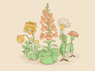 The Looking Glass Garden