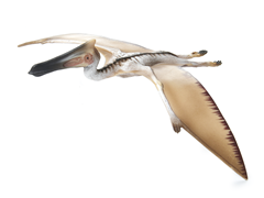Quetzalcoatlus