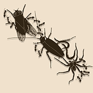 Something Is Bugging Me Something Is Bugging Me
