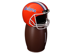 Florida FANbasket