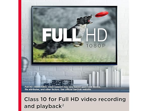 SanDisk Ultra Plus 512GB microSDXC Memory Card