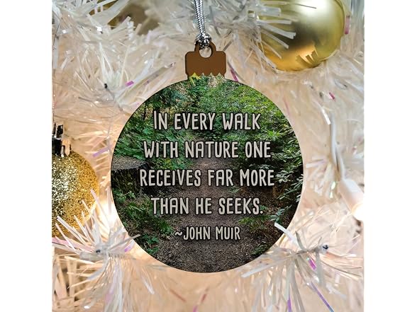 GRAPHICS & MORE in Every Walk with Nature Ornament