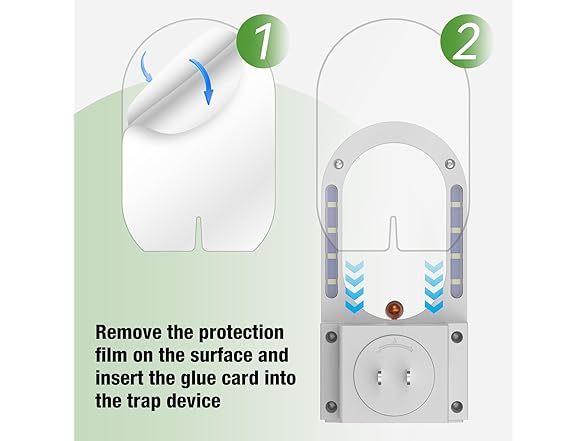 Fruit Fly Traps for Indoors, Plug in (1 Device + 5 Refills)