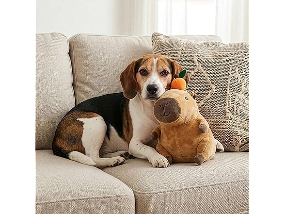 SPOT Capybara with Orange Plush Dog Toy