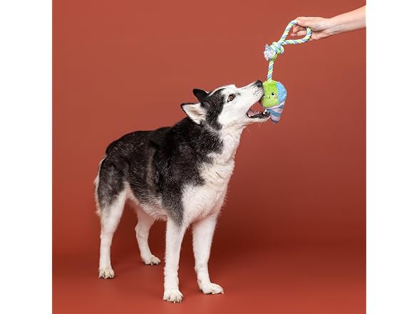Fringe Fringe Studio Plush Dog Toy with Rope