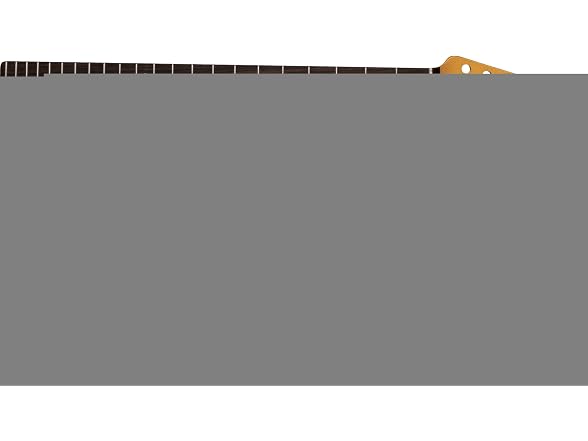 Fender American Professional II Telecaster Neck