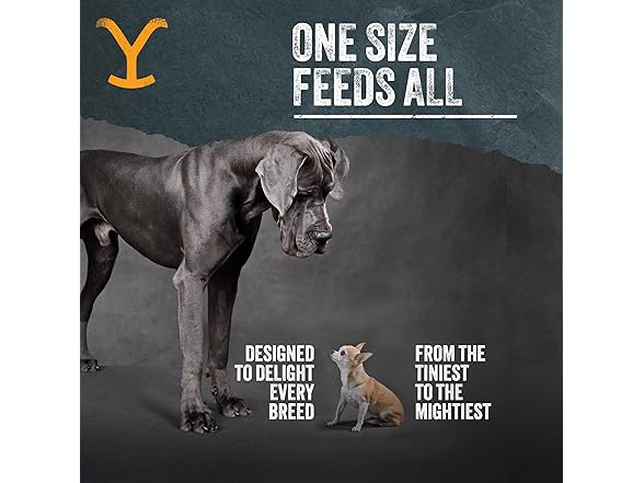 Limited Ingredient Dog Treats