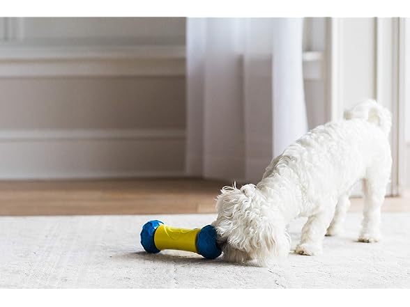 JW Pet 32290 RoboBone Electronic Treat Dispenser